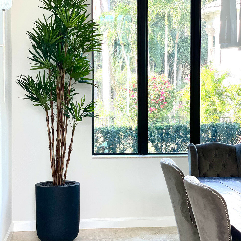 XL Black Pot Palm Tree