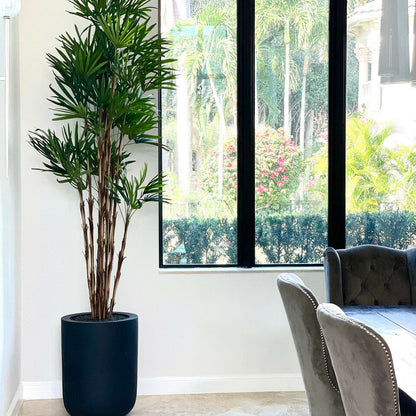 XL Black Pot Palm Tree