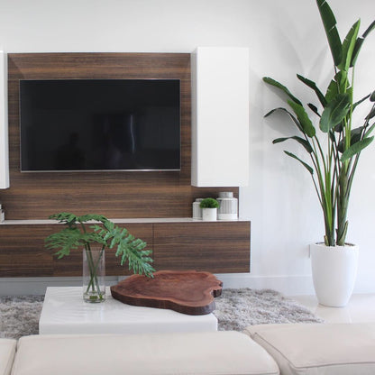9-Foot Bird of Paradise with Shiny White Pot